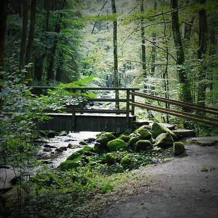 Ferienwohnung FeWo KeDo Neukirchen vorm Wald Exterior foto