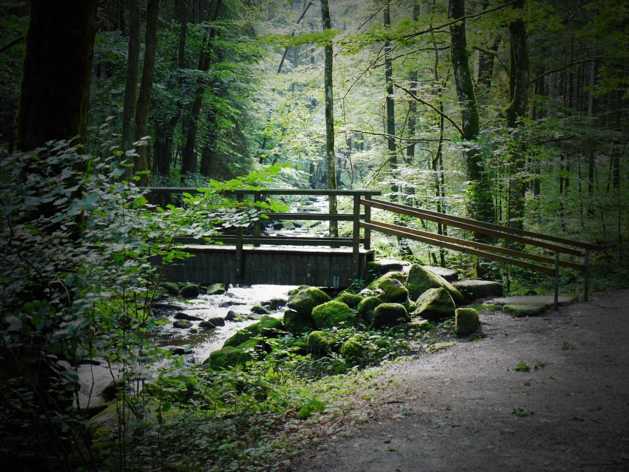 Ferienwohnung FeWo KeDo Neukirchen vorm Wald Exterior foto