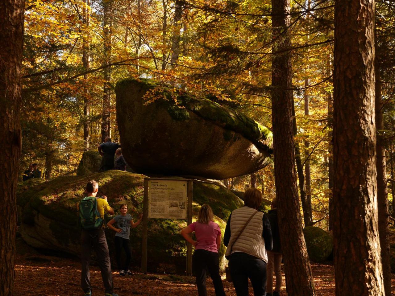 Ferienwohnung FeWo KeDo Neukirchen vorm Wald Exterior foto