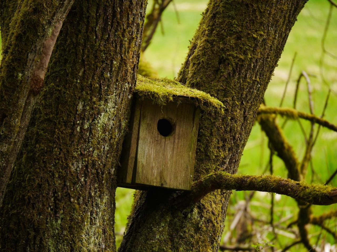 Ferienwohnung FeWo KeDo Neukirchen vorm Wald Exterior foto