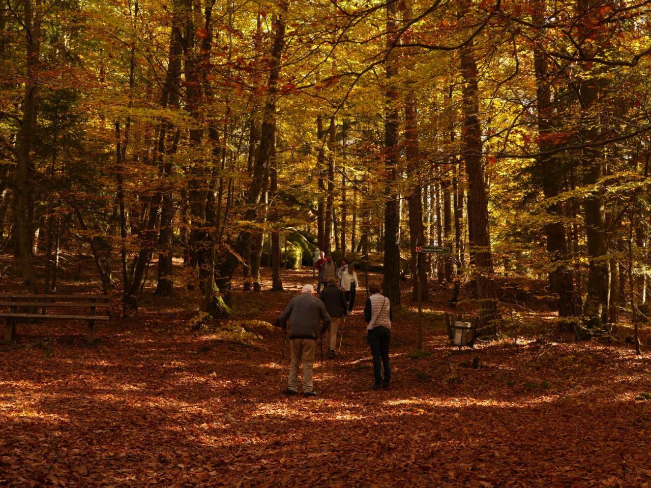 Ferienwohnung FeWo KeDo Neukirchen vorm Wald Exterior foto