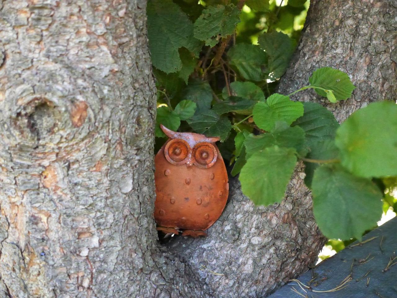 Ferienwohnung FeWo KeDo Neukirchen vorm Wald Exterior foto