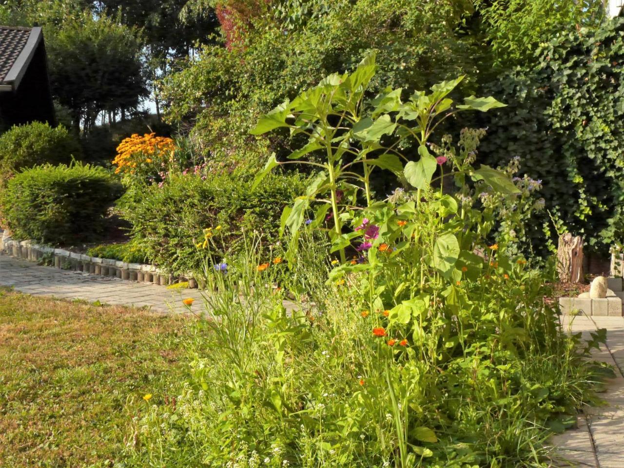 Ferienwohnung FeWo KeDo Neukirchen vorm Wald Exterior foto